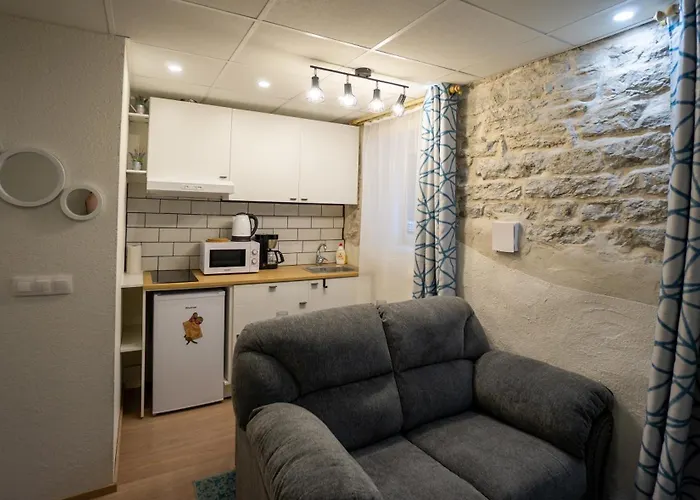 公寓 Craftflat Kalamaja A